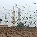 دلها در اينجا باراني مي شود + گزارش تصویری