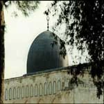 مسجدي به رنگ سبز نه از جنس طلا