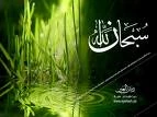 بهترین سند معرفی امام هادی + صوت زیارت جامعه