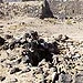 افراد ناشناس چاه نبوی "العهن" مدینه را تبدیل به گورستان حیوانات کردند + تصویر