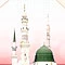 هیأت علمای عربستان تصویب کرد؛ ابقای محدوده حرم مدینه منوره بر حالت کنونی