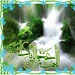 دعای ندبه ؛جمعه در قطعه 72 تن بهشت زهرا