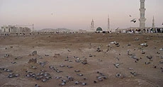 مدفون شدگان در قبرستان بقیع