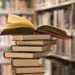 کتاب « حج عارفان » ، الگوئی برای زائران