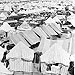 فیلم سفر حج در زمان قدیم