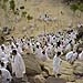 حج واجبی است که معصومین(ع) هیچ‌گاه اجازه تعطیلی آن را ندادند