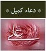 در شب میلاد منجی علم بشریت؛ دعای کمیل در مکه مکرمه طنین انداز شد
<br>