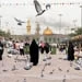 اخبار کوتاه از عتبات عالیات
