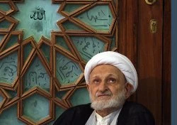 آیت الله بهجت در نگاه دیگر علما و مراجع