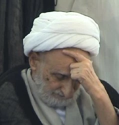 به مناسبت رحلت آیت الله العظمی بهجت ، اعلام 3روز عزای عمومی در نجف اشرف