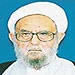 آیت الله امینی:اقدام عوامل سعودی عمل تفرقه انگیزی بود