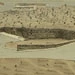 موانع اطراف قبور شریف ائمه در قبرستان بقیع برچیده شد