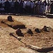 فوری:ایجاد موانع جدید در کنار قبور ائمه بقیع قبور چهار امام معصوم از دید زائران پنهان شد