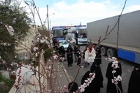 ابراز نارضایتی مسافران نوروزی از وضعیت مرز زمینی کشور ایران به ترکیه
