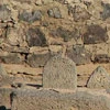 بهشت زمین    گزارش تصویری