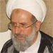 توصیه  آیت الله ری شهری به کارگزاران حج : برای  رضایت زایران از یکدیگر سبقت بگیرید