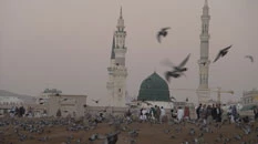 نقش و تاریخ زنان در بقیع