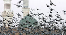 نخستین هم‌اندیشی «زیارت» برگزار شد