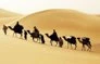 سرنوشت کسانی که هجرت نکردند