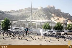 مظلومیت حضرت خدیجه و ابوطالب در مکه مکرمه عکس