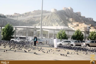 شارع مسجدالحرام چهارراه نونه