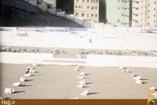 قبرستان ابوطالب