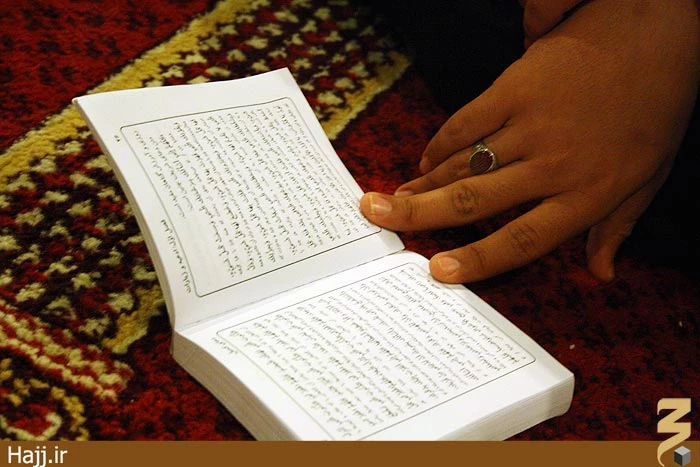 شوق دعاي كميل با دانش آموزان عمره‌گزار / عكس