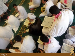 حلقات قرآني در مسجد شجره
