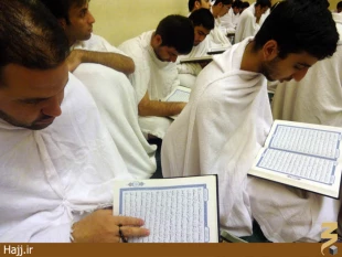 حلقات قرآني در مسجد شجره