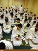 حلقات قرآني در مسجد شجره