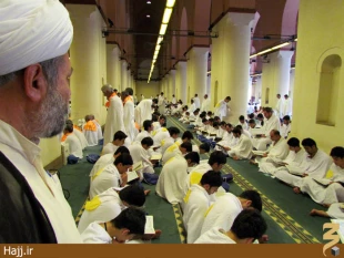 حلقات قرآني در مسجد شجره