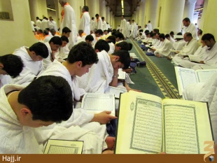 حلقات قرآني در مسجد شجره