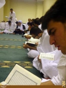 حلقه بزرگ قرآني تشكل‌هاي دانشجويي در شجره/ عكس