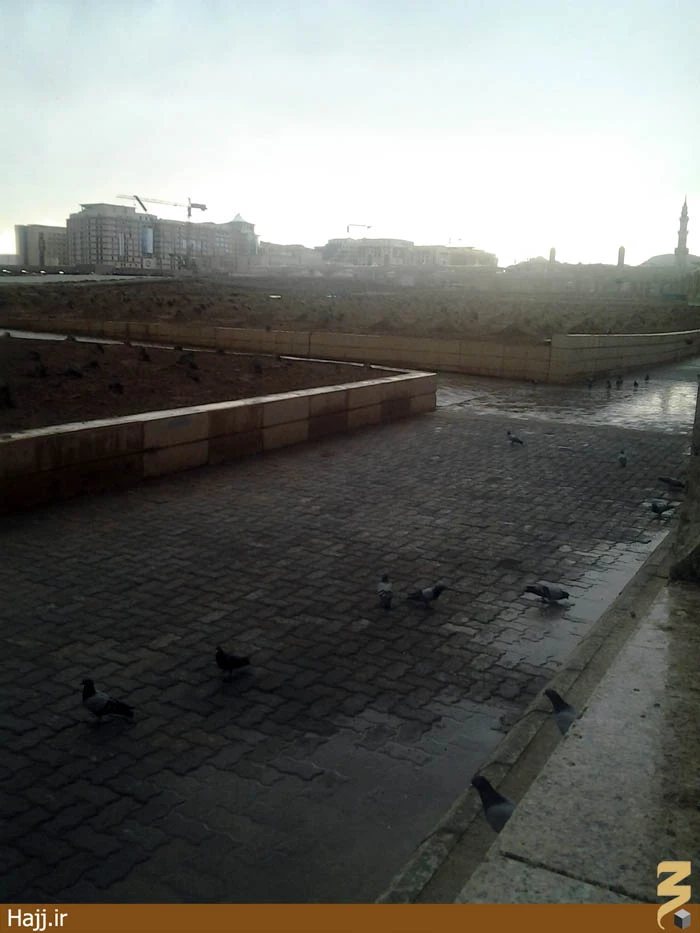 بارش باران در مدينه‌منوره+ عكس