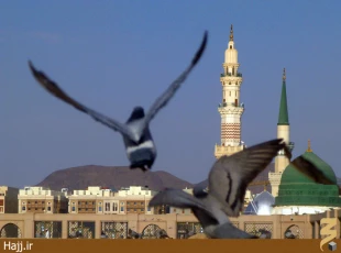 عكس‌هاي ديدني مدينه