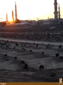 عكس‌هاي ديدني مدينه