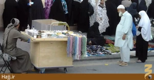حضور زائران شبه‌جزیره‌ هند در حریم نبوی + عکس