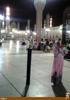 حضور زائران خارجي در حريم نبوي
