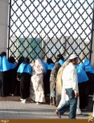 حضور زائران خارجي در حريم نبوي