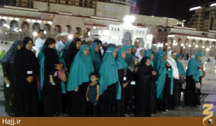 حضور زائران خارجي در حريم نبوي