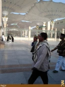 حضور زائران خارجي در حريم نبوي