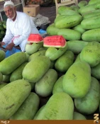 گشت و گذاري در ميدان ميوه و تره‌بار مدينه + عكس