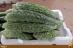گشت و گذاري در ميدان ميوه و تره‌بار مدينه + عكس