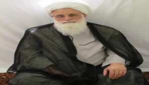 عضو دفتر آیت‌الله سیستانی در مدینه عنوان کرد:

«وحدت کلمه» نقطه اوج امیر مومنان؛ توصیه به زائران برای نماز شکر