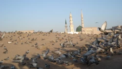 مزار امامان بقيع از آغاز تاكنون