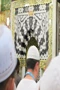 روضه؛ از مرقد تا منبر نبوی  عکس