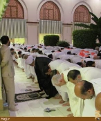 نماز جماعت عمره‌گزاران ايراني در مسجد شجره به امامت نماينده بعثه مقام معظم رهبري