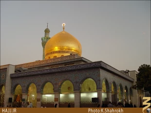 علت وفات حضرت زينب(س) چه بوده است؟