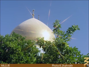 علت وفات حضرت زينب(س) چه بوده است؟