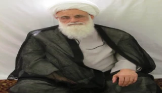 عضو هیأت اعزامی دفتر حضرت آیت‌الله سیستانی در مدینه:

مردم انتخابات را به شکل یک عبادت تعقیب کنند